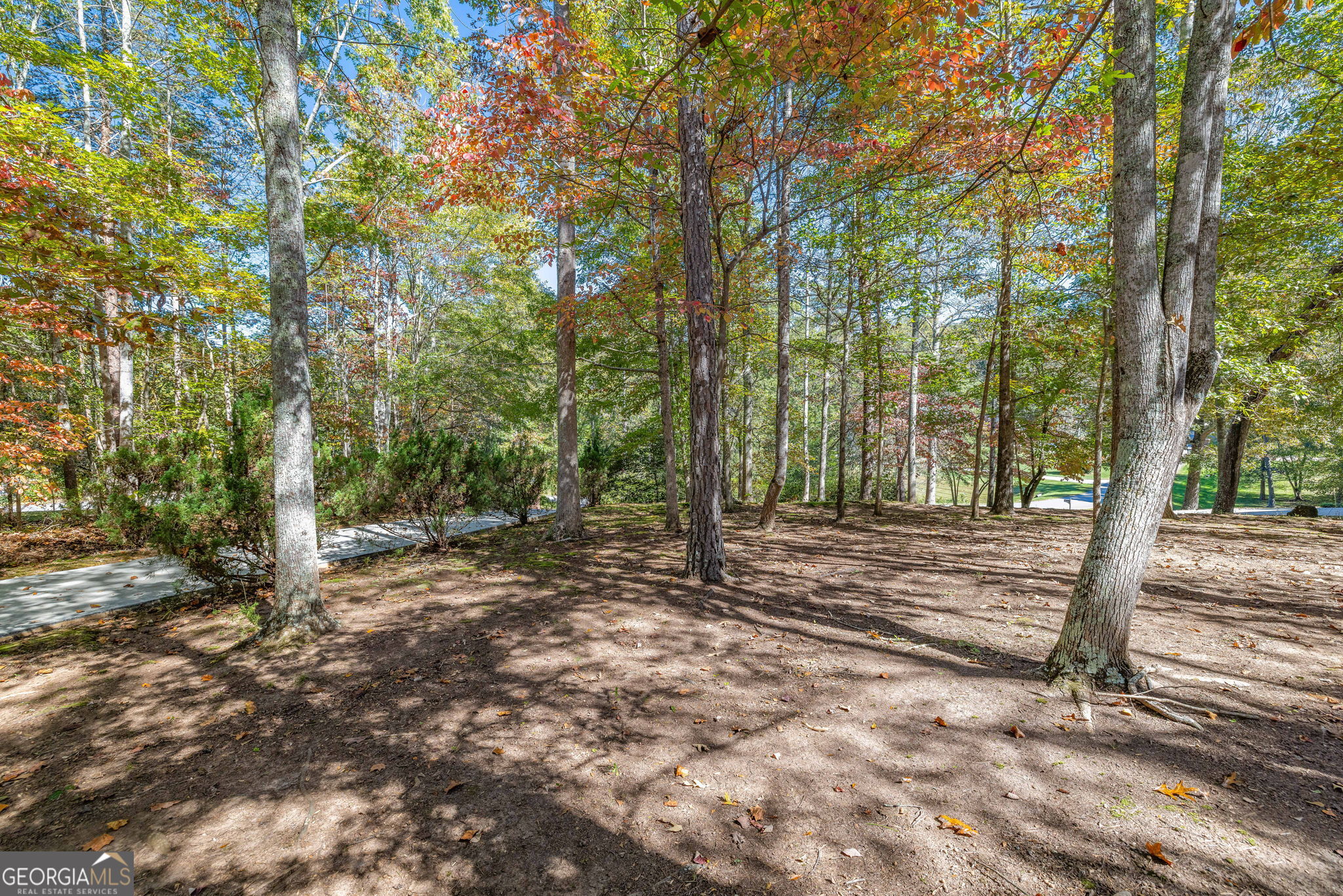 161 Springbrook Drive Cornelia, GA 30531 - Photo 29 of 35