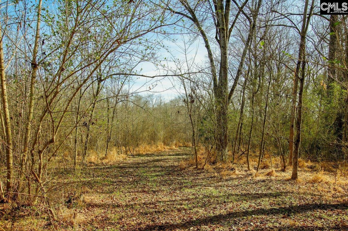 561 Church Road Batesburg, SC 29006 - Photo 21 of 24