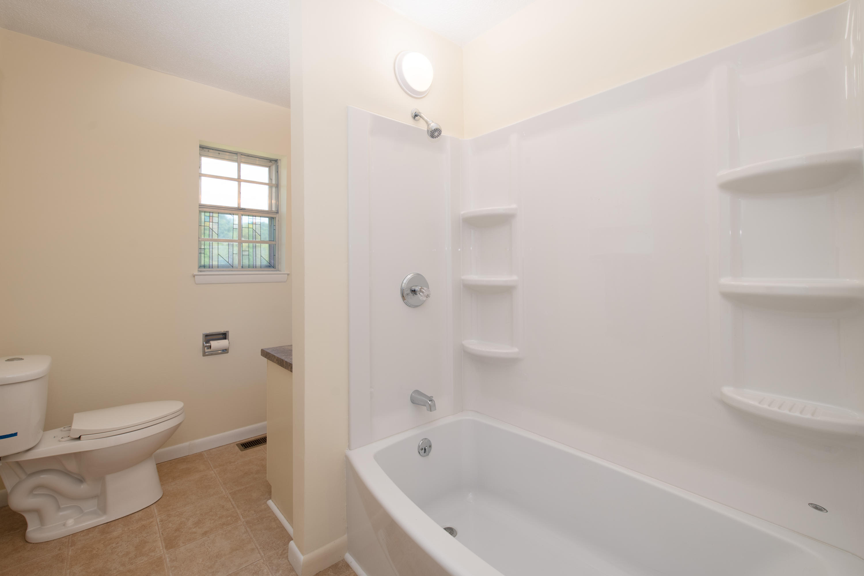 340 Pine Street Spring City, TN 37381 - Photo 11 of 37 D85_8423-Edit
