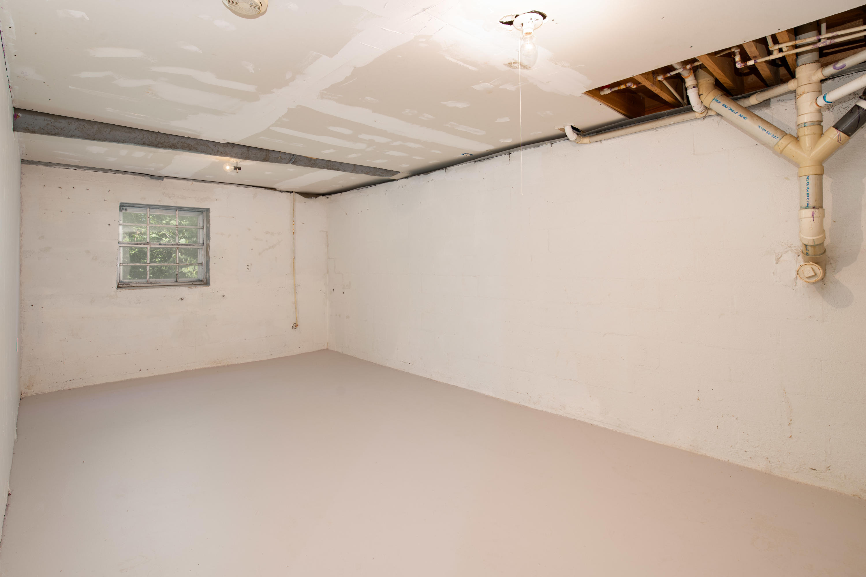 340 Pine Street Spring City, TN 37381 - Photo 17 of 37 D85_8448-Edit