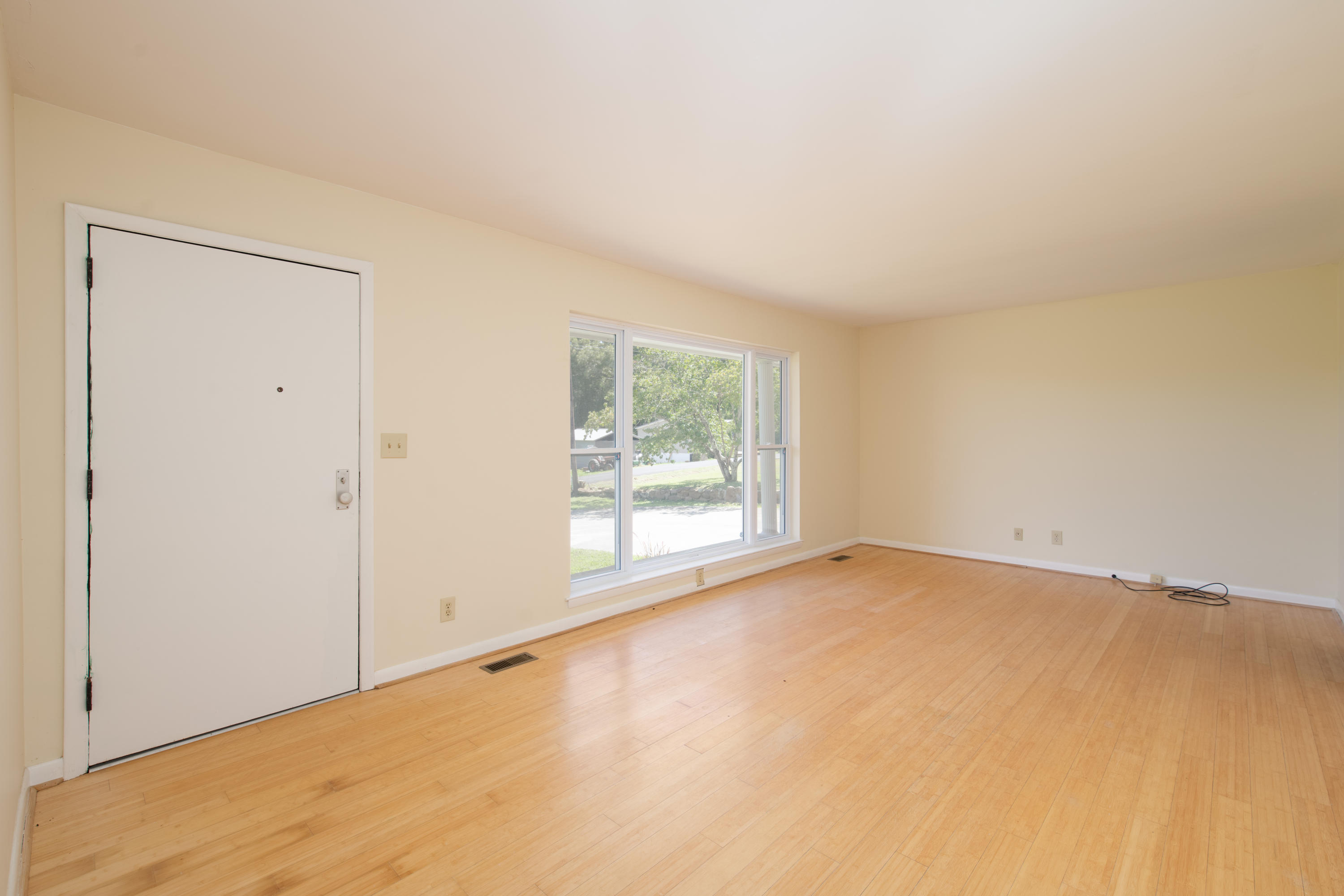 340 Pine Street Spring City, TN 37381 - Photo 3 of 37 D85_8408-Edit