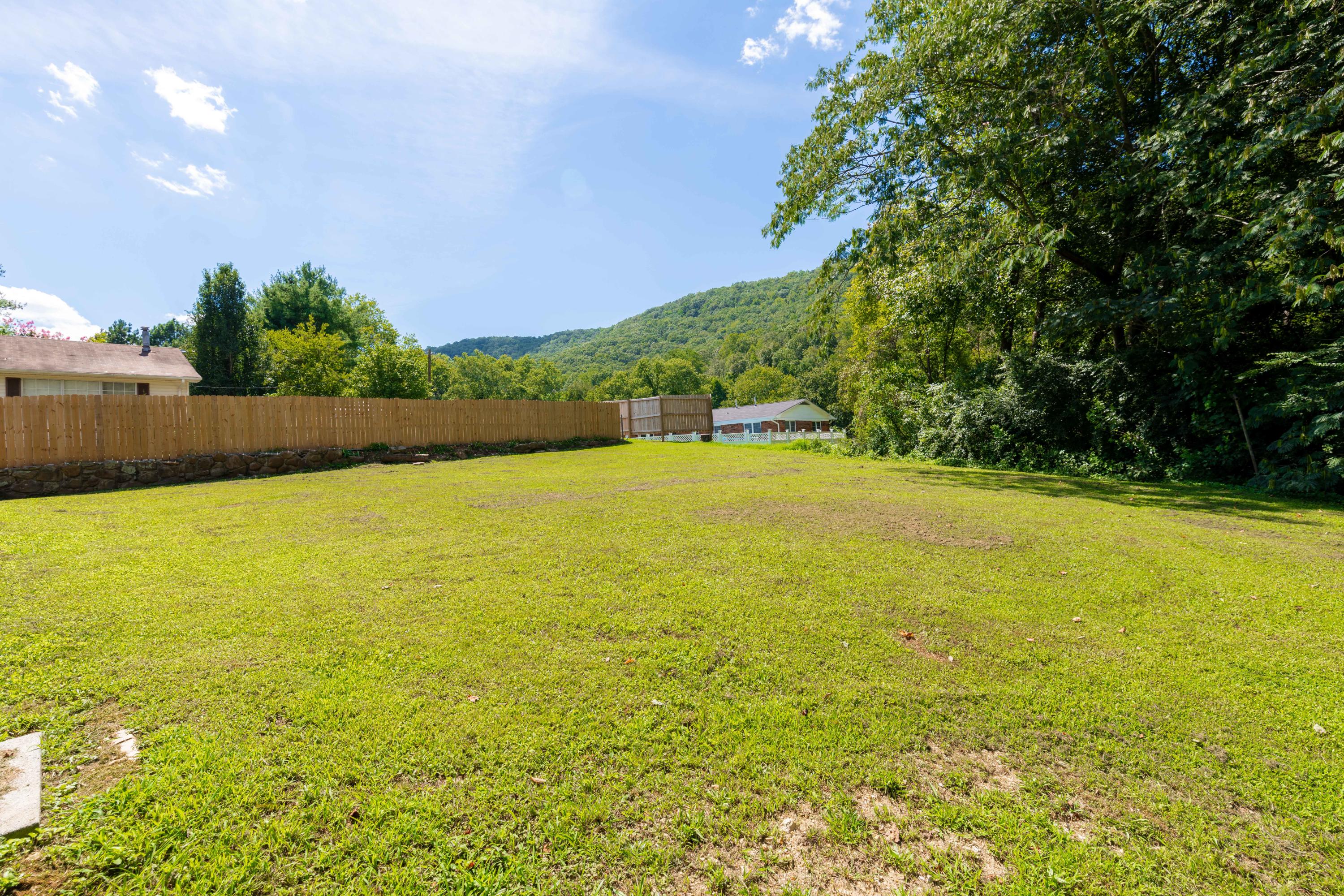 340 Pine Street Spring City, TN 37381 - Photo 23 of 37 D85_8455