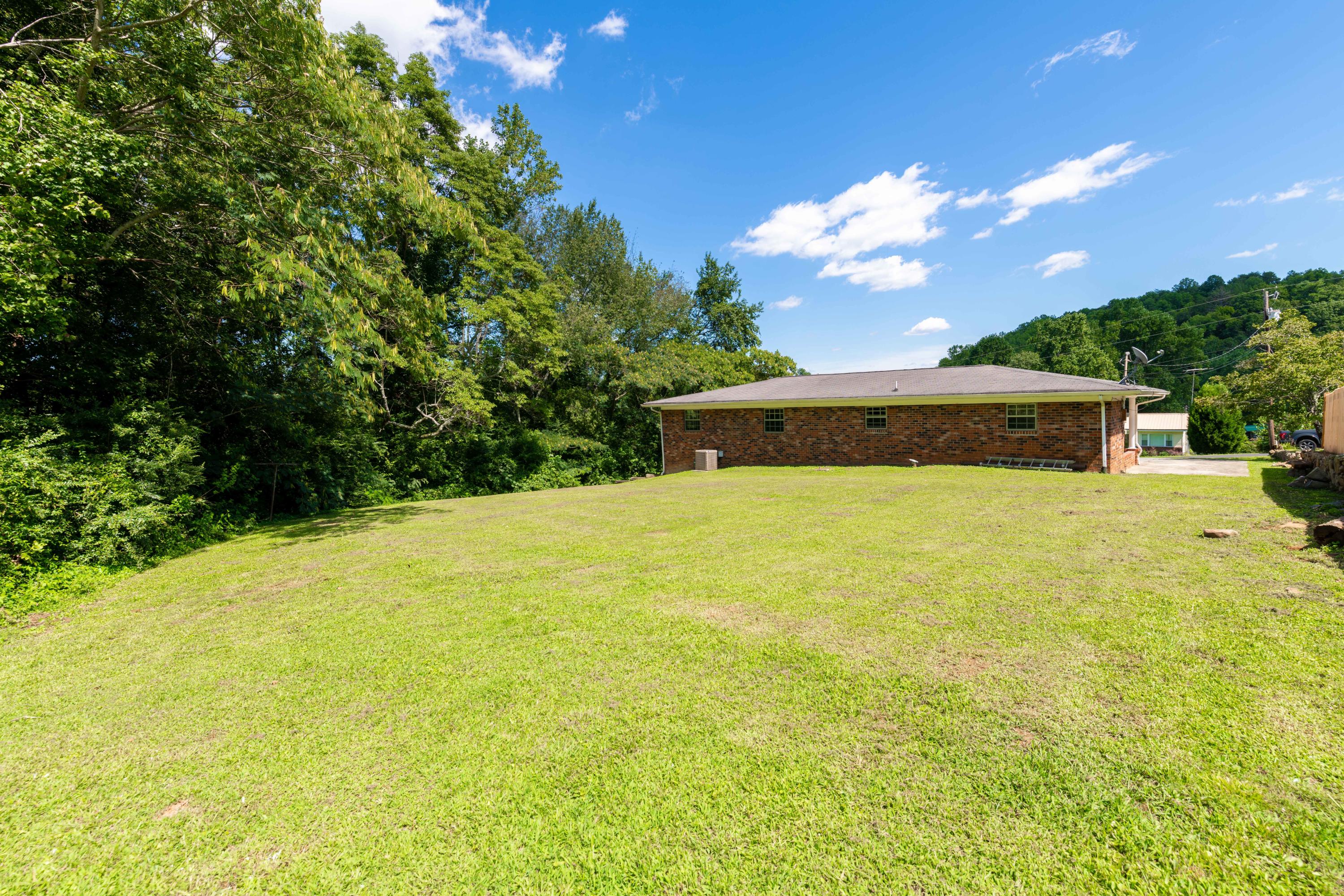 340 Pine Street Spring City, TN 37381 - Photo 25 of 37 D85_8453
