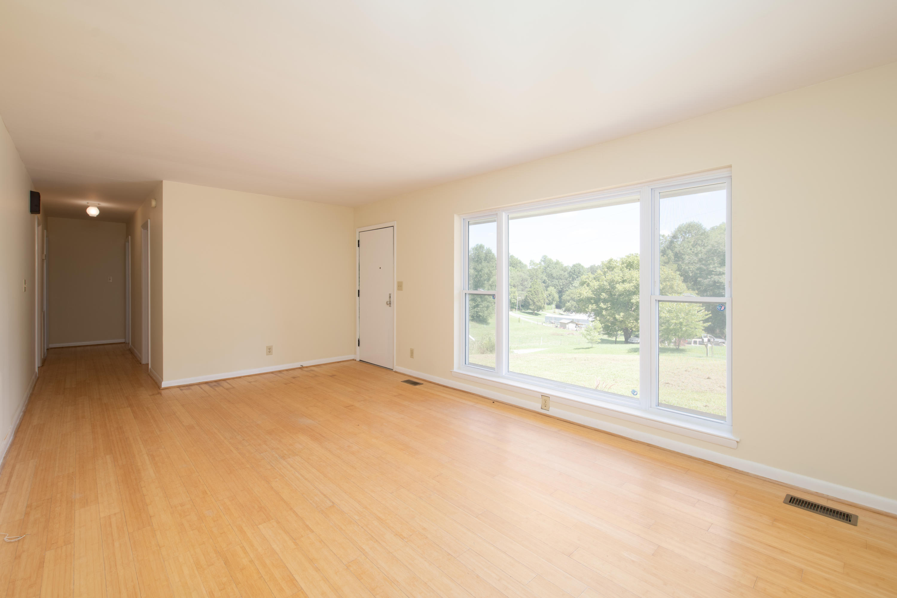 340 Pine Street Spring City, TN 37381 - Photo 4 of 37 D85_8402-Edit