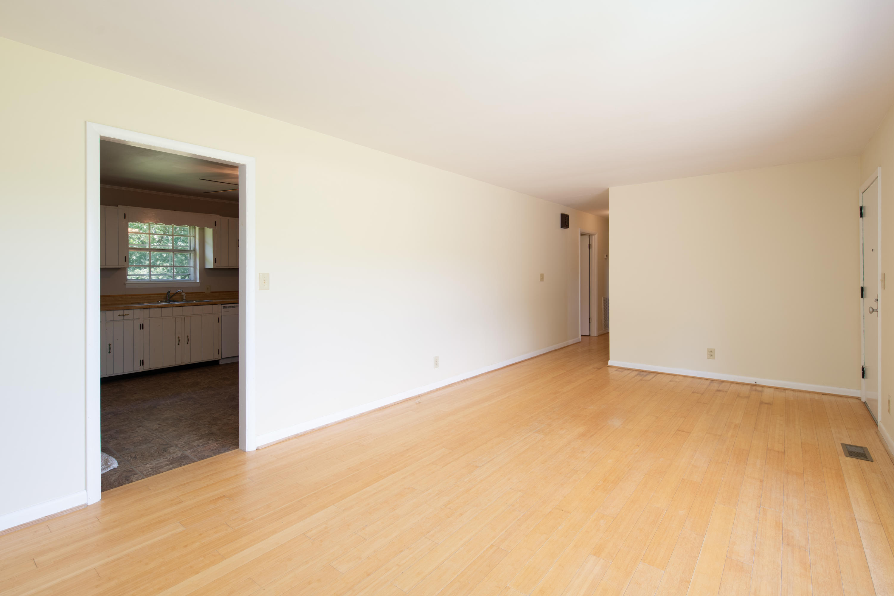 340 Pine Street Spring City, TN 37381 - Photo 5 of 37 D85_8406-Edit