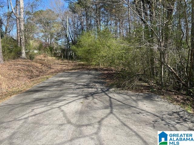 1605 West Riverview Road, Unit 1 Trussville, AL 35173 - Photo 1 of 3