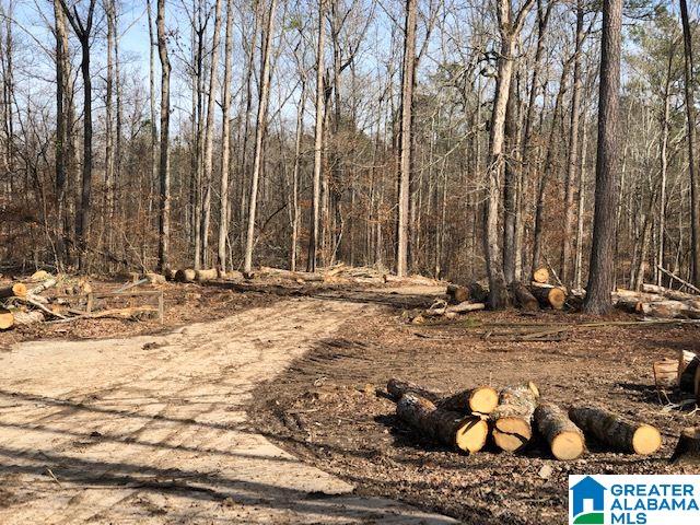 1919 Mt Gilead Road, Unit 9 21 Jacksonville, AL 36265 - Photo 21 of 39