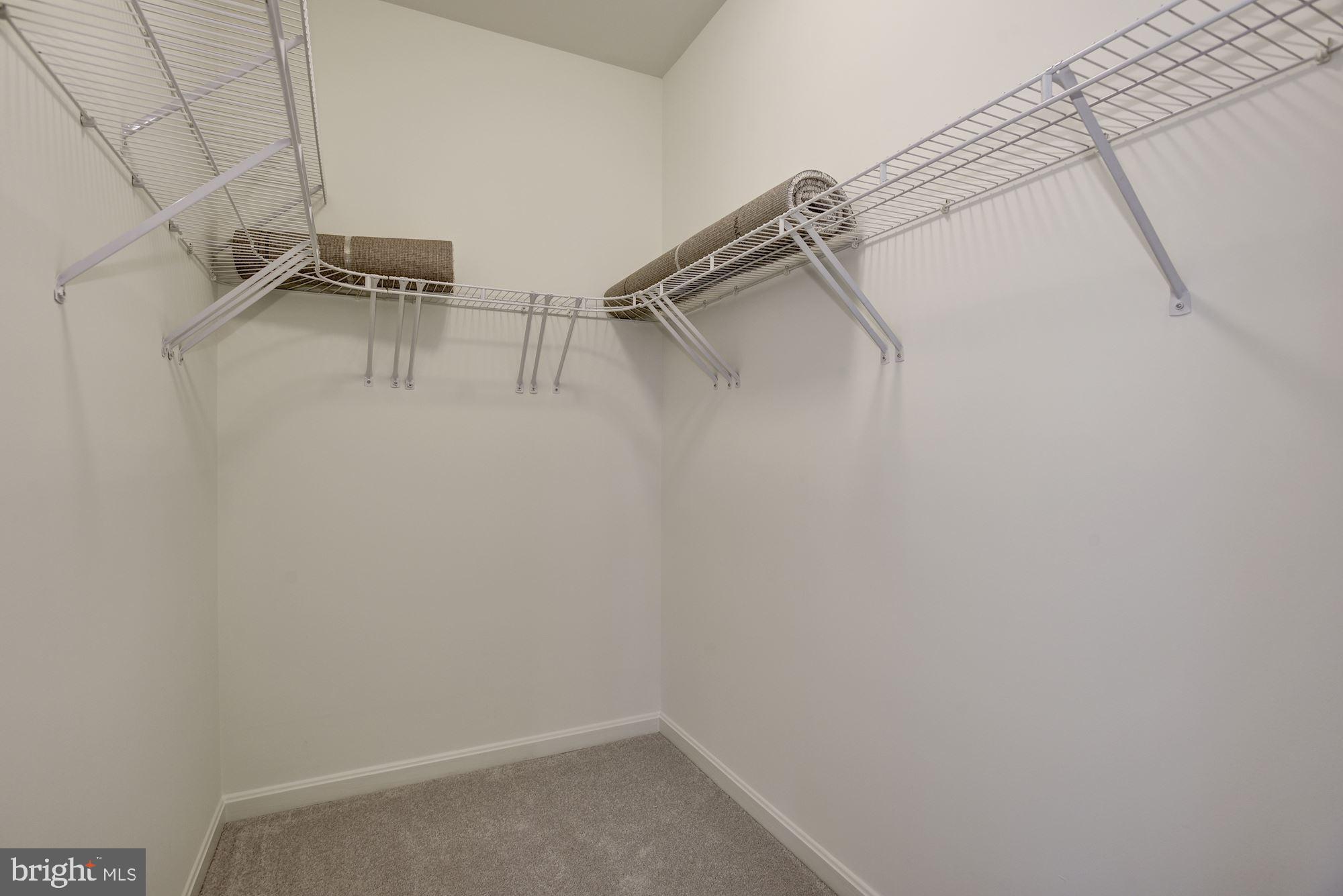 1307 Windleaf Drive, Unit 133 Reston, VA 20194 - Photo 15 of 26 Master Walk-In Closet