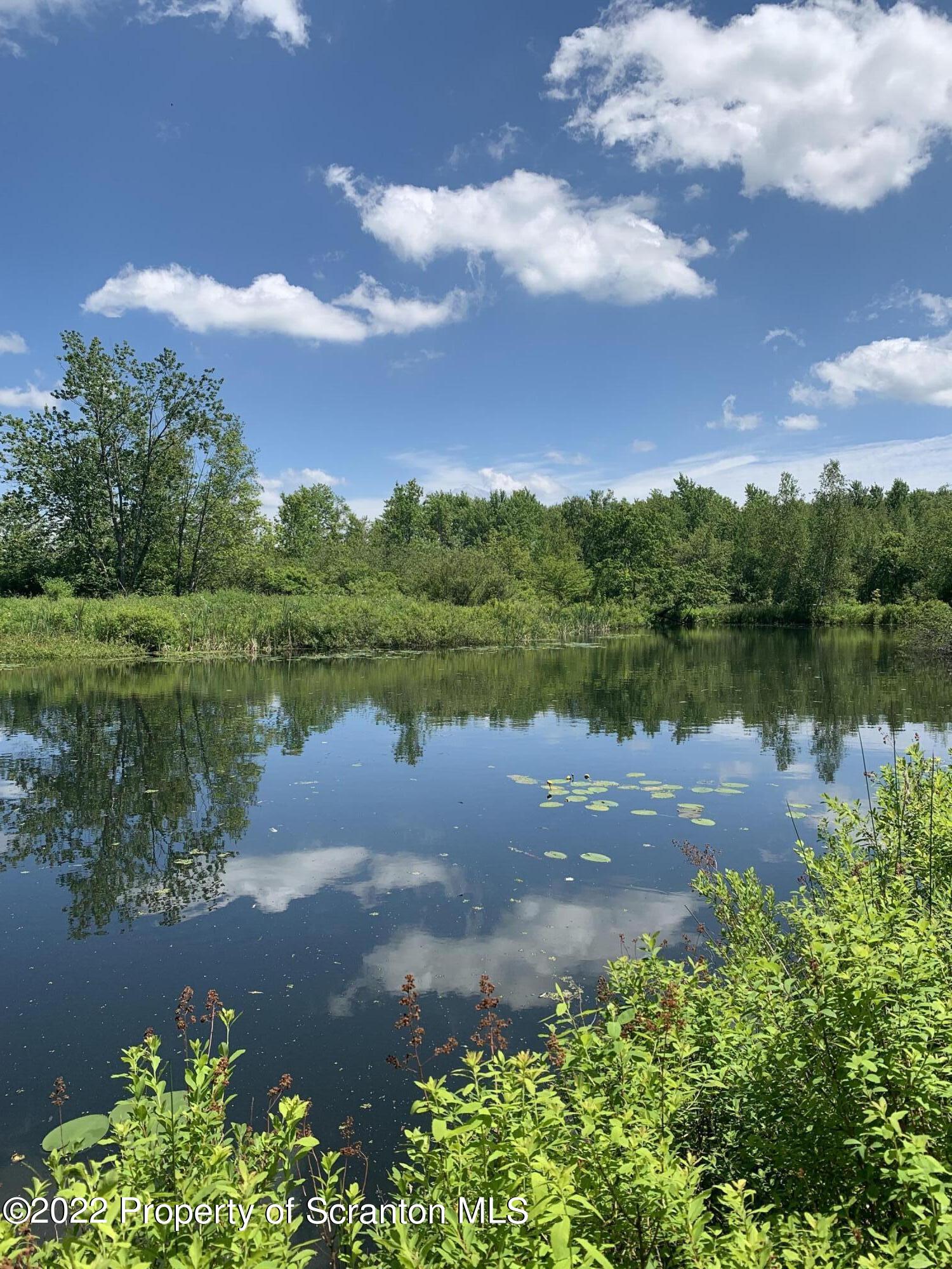 2827 Creek Road Union Dale, PA 18470 - Photo 1 of 12 Pond