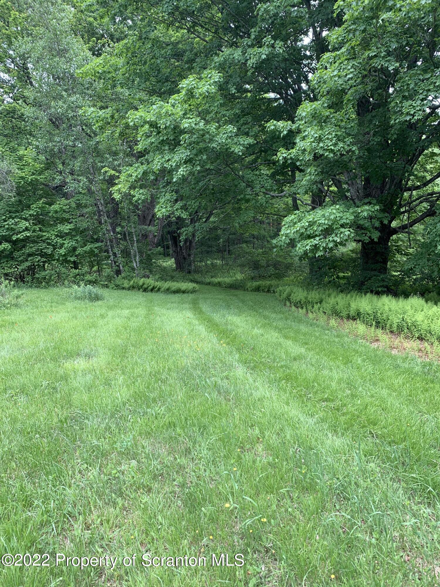 2827 Creek Road Union Dale, PA 18470 - Photo 11 of 12 creek rd 4