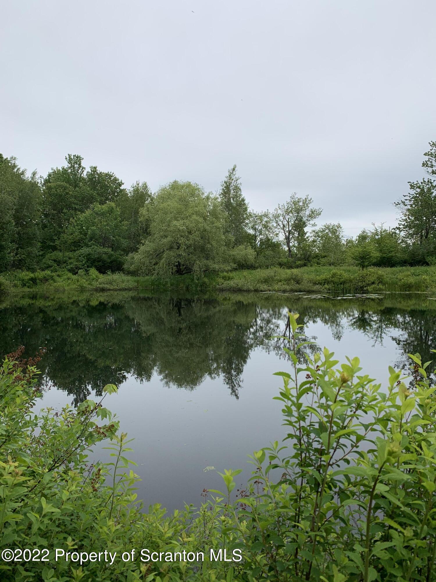 2827 Creek Road Union Dale, PA 18470 - Photo 2 of 12 Side od Pond