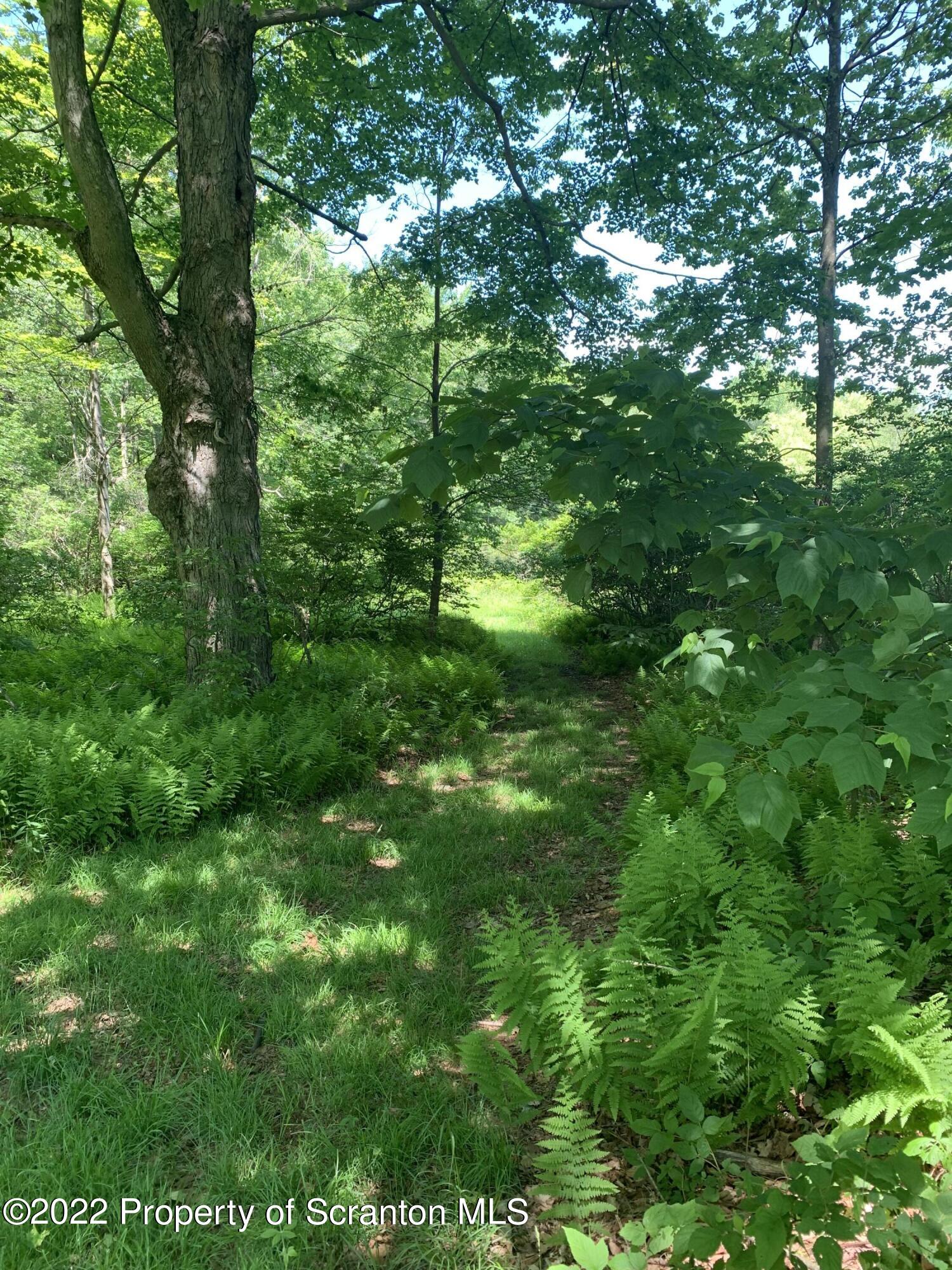 2827 Creek Road Union Dale, PA 18470 - Photo 3 of 12 Pond Path
