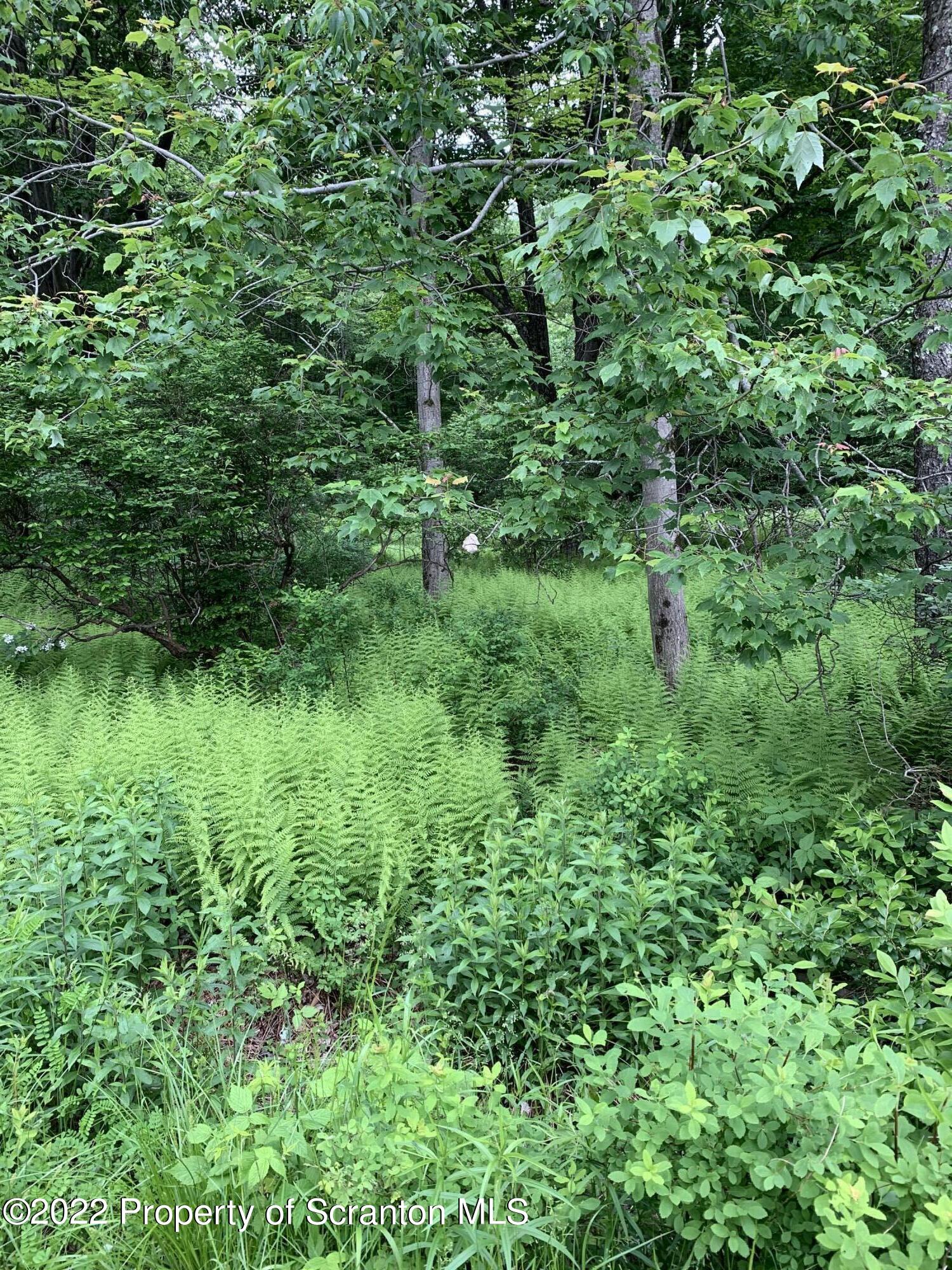 2827 Creek Road Union Dale, PA 18470 - Photo 4 of 12 Rear