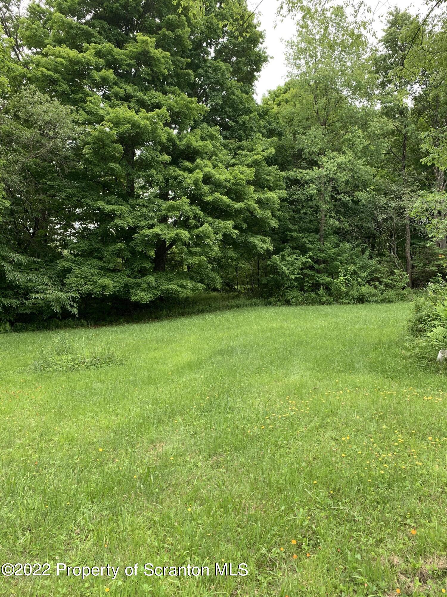 2827 Creek Road Union Dale, PA 18470 - Photo 5 of 12 Yard
