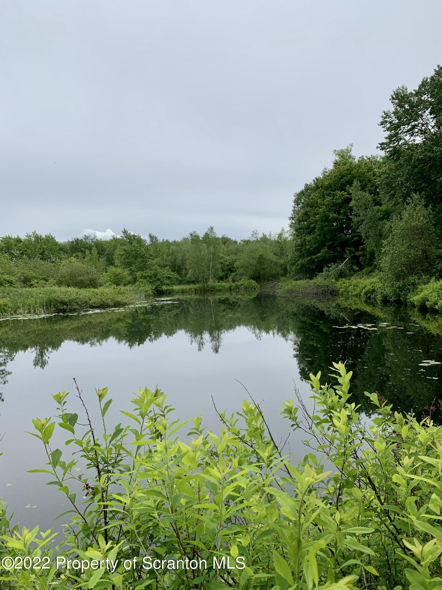 2827 Creek Road Union Dale, PA 18470 - Photo 8 of 12 pond 6
