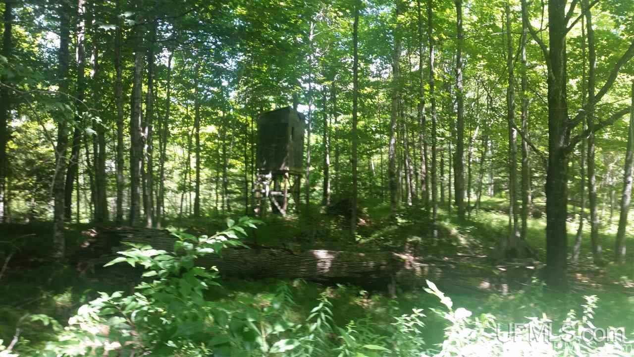 Co Road Daggett, MI 49887 - Photo 8 of 12