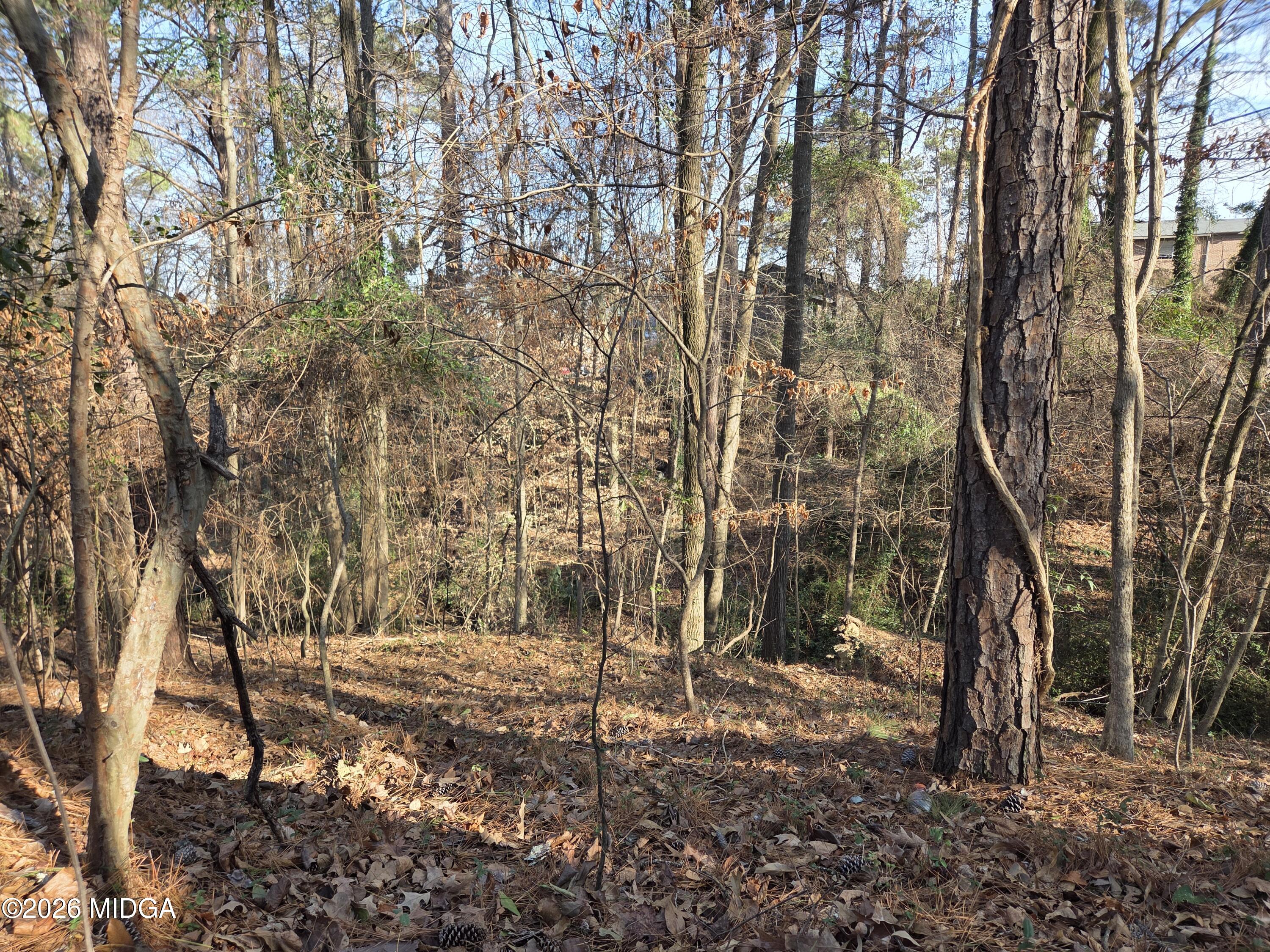 1971 Long Ridge Drive Macon, GA 31211 - Photo 3 of 3 20260203_153709