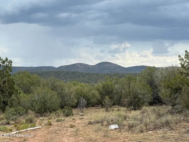 a view of a dirt road with trees in the background