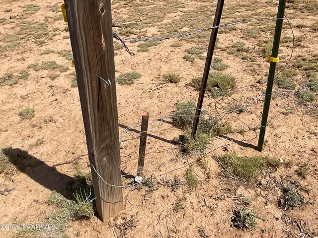 a view of a backyard of the house