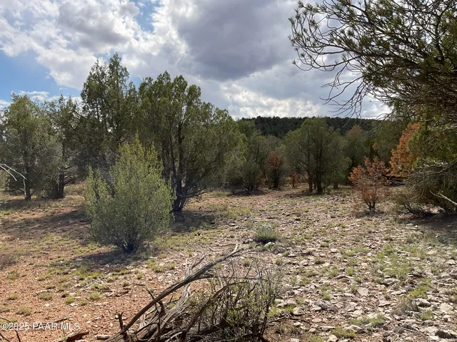 a view of a yard with a tree