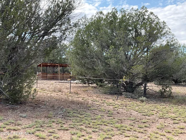a backyard of a house with oven and tree