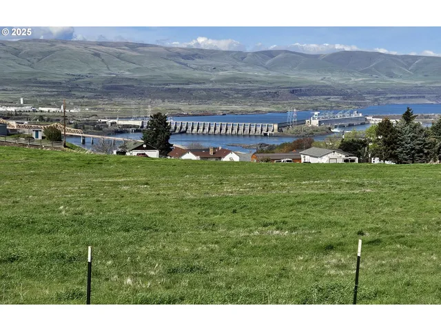 a view of a yard in front of a house with a yard