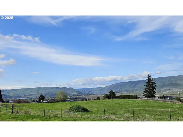 a view of a grassy field with an trees