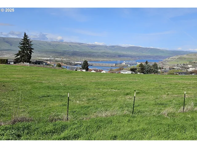 a view of a field with an ocean