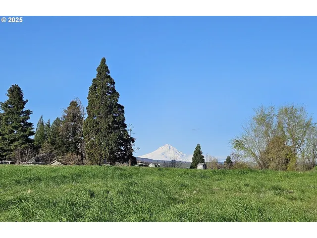 a view of outdoor space and yard
