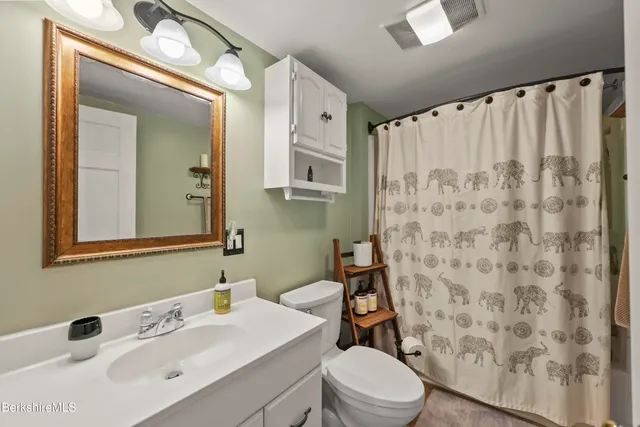 a bathroom with a sink a toilet and shower curtain