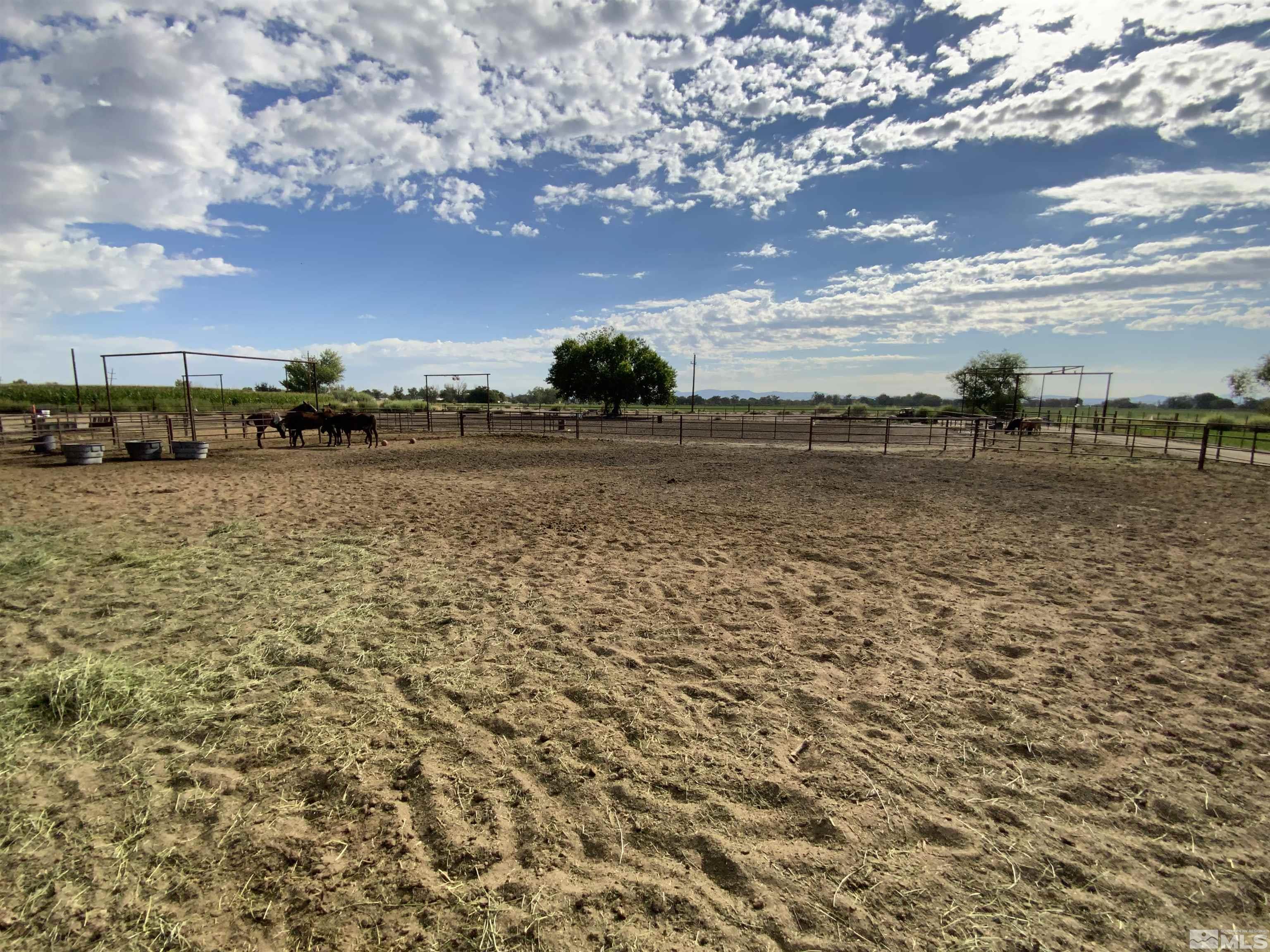 3250 Weaver Road Fallon, NV 89406 - Photo 23 of 27 Photo 23