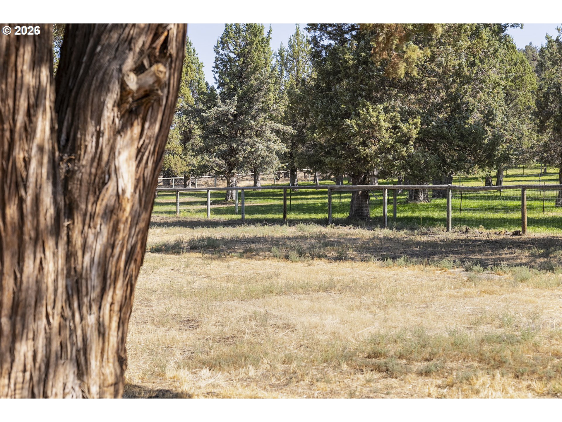 17500 Forked Horn Road Sisters, OR 97759 - Photo 21 of 31