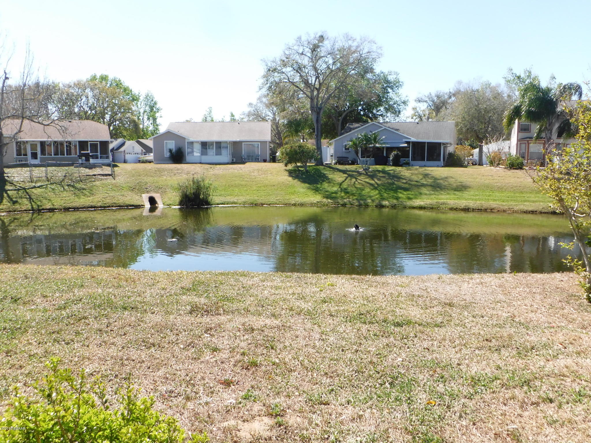 986 Deer Springs Road Port Orange, FL 32129 - Photo 25 of 26 Backyard & Pond