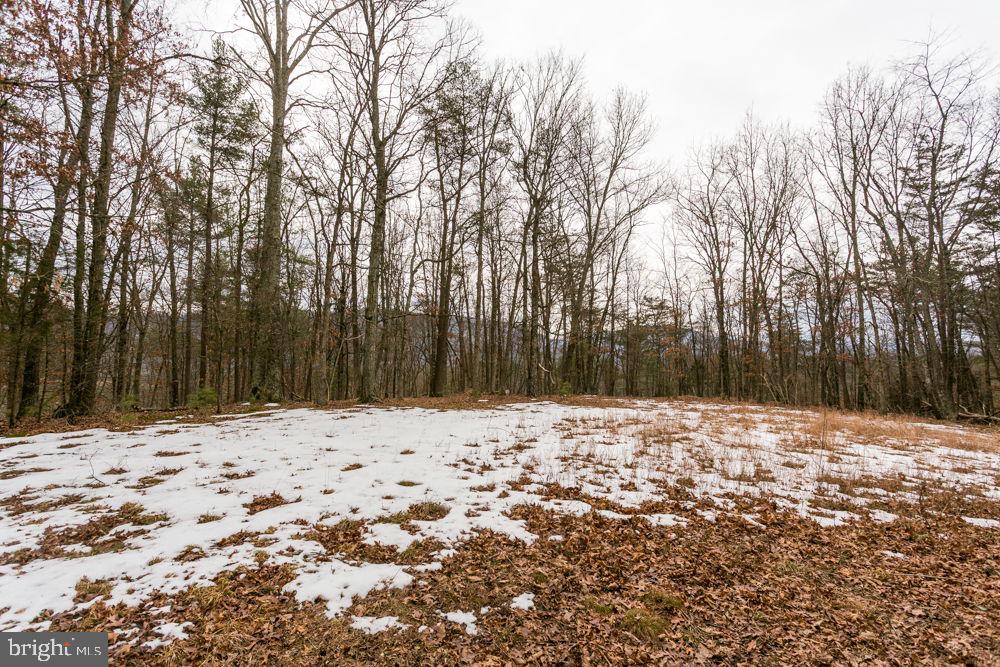 Lot 44 Rainbow Ridge Road Bergton, VA 22811 - Photo 1 of 7 Gallery Image 1