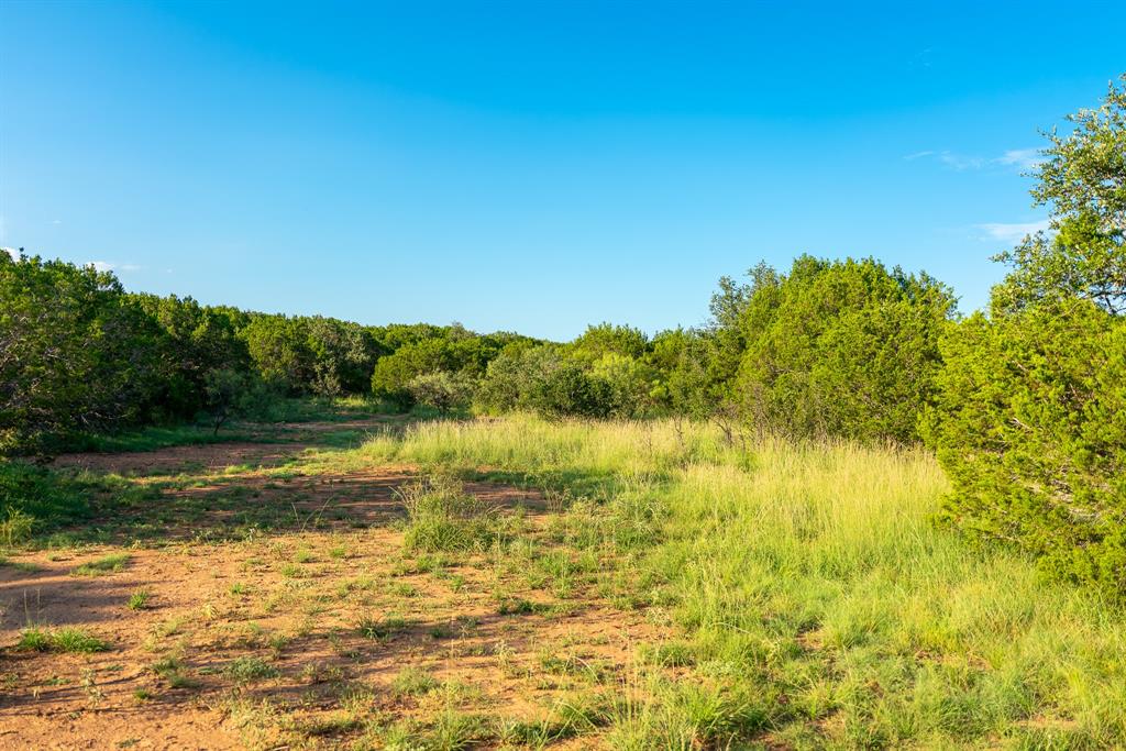 Tbd Cr 224 Brookesmith, TX 76827 - Photo 22 of 25