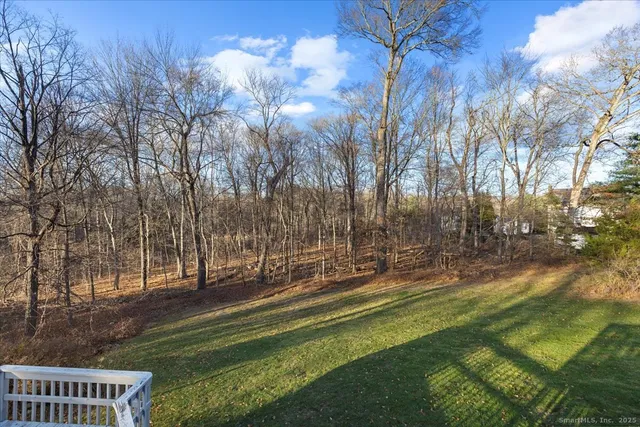 a view of a park with large trees