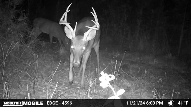 250 Adams Mill Road Clayton, AL 36016 - Photo 2 of 74