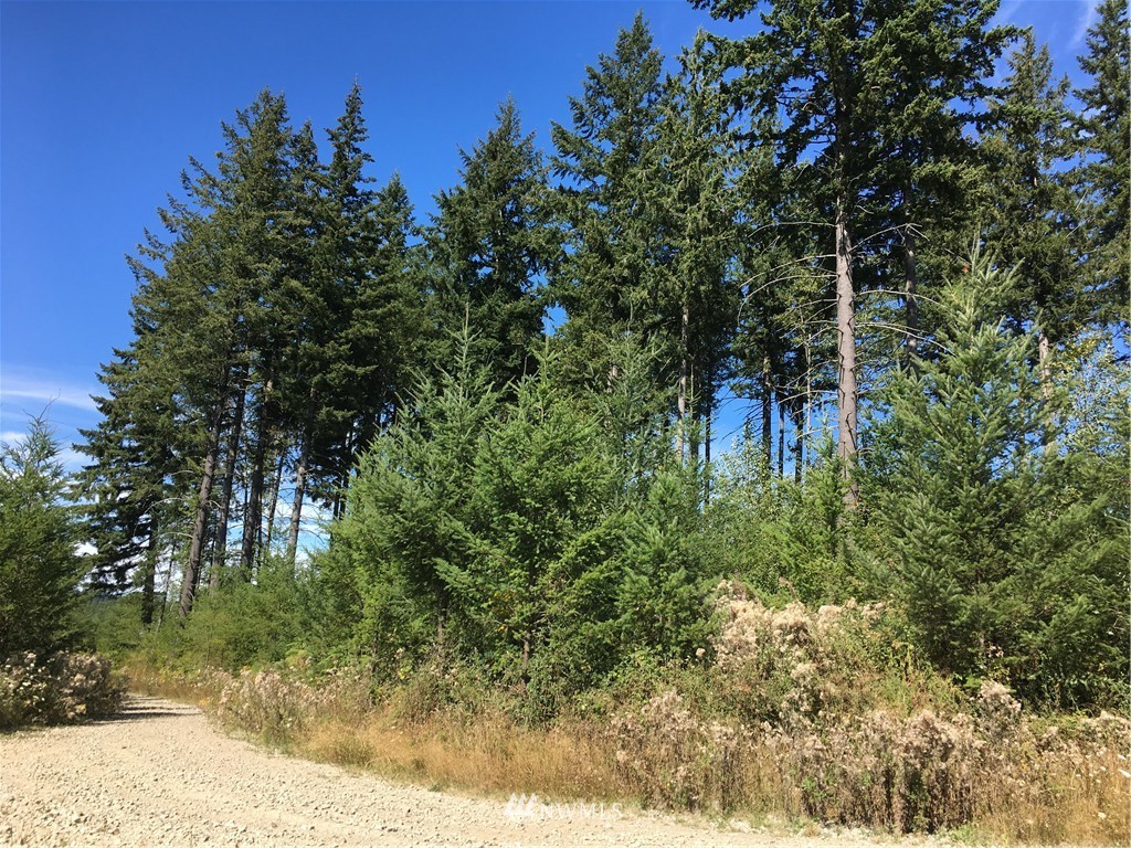 -ne Northeast Kelly Road Yacolt, WA 98675 - Photo 11 of 25 Gallery Image 11
