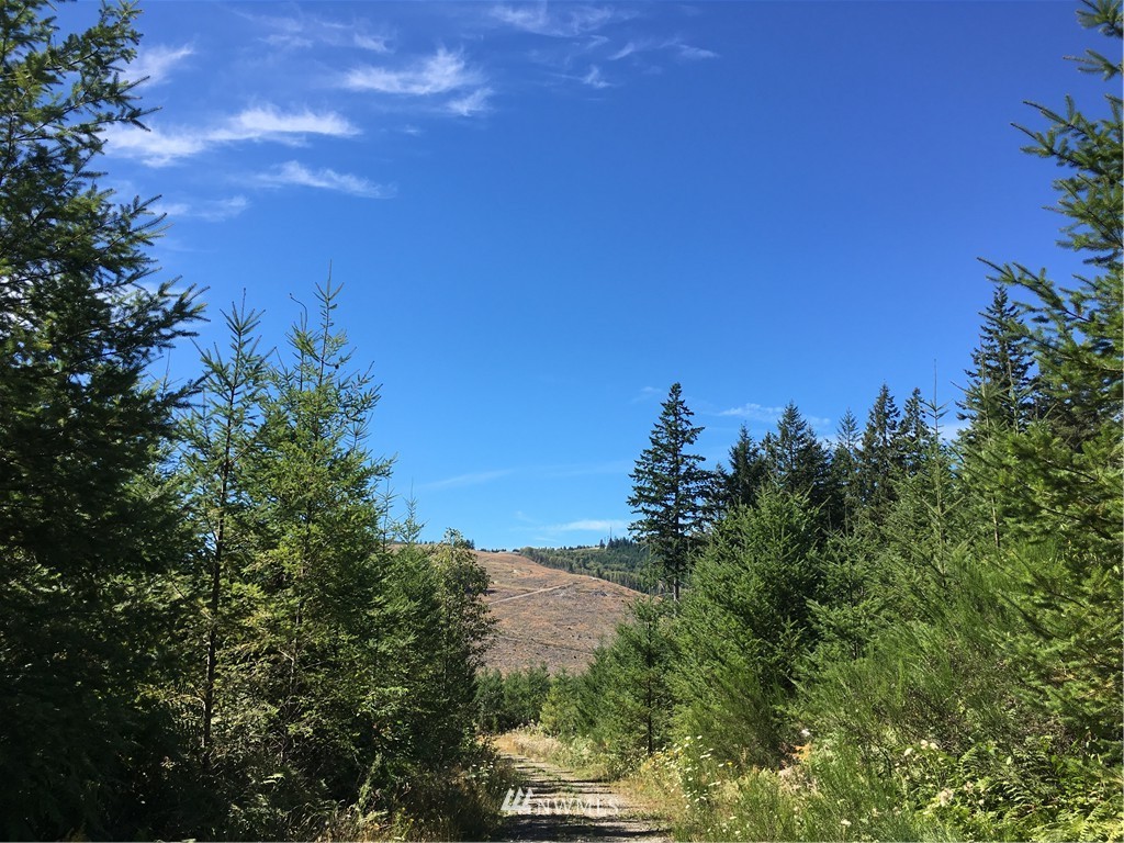 -ne Northeast Kelly Road Yacolt, WA 98675 - Photo 12 of 25 Gallery Image 12