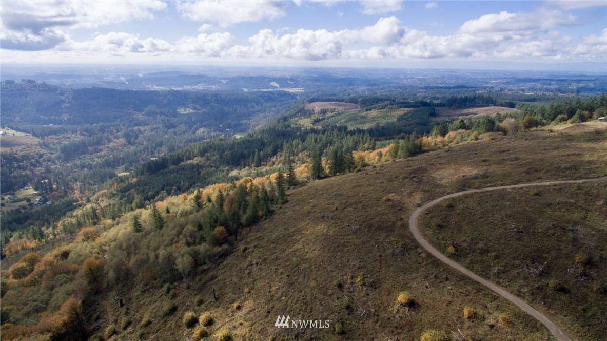 -ne Northeast Kelly Road Yacolt, WA 98675 - Photo 16 of 25 Gallery Image 16