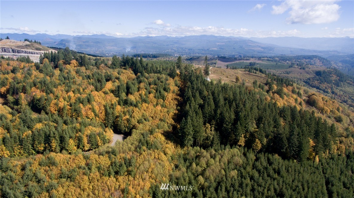 -ne Northeast Kelly Road Yacolt, WA 98675 - Photo 19 of 25 Gallery Image 19