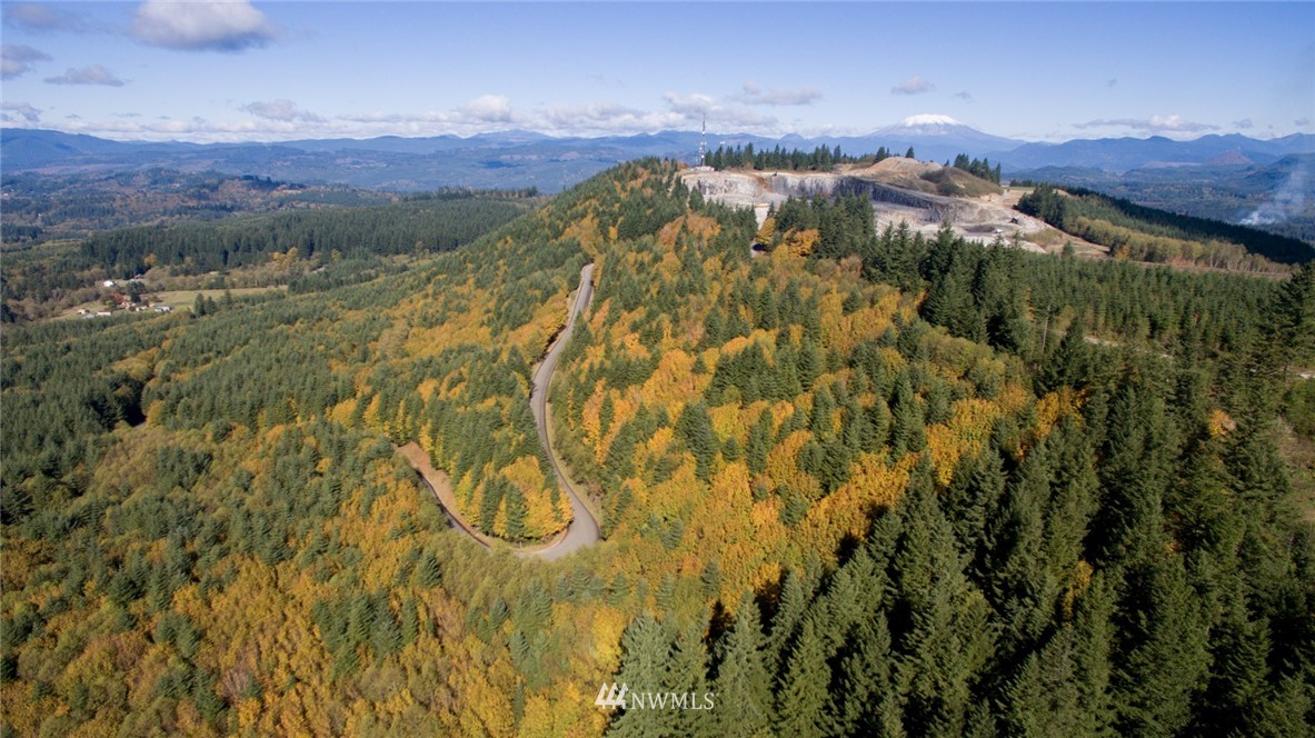 -ne Northeast Kelly Road Yacolt, WA 98675 - Photo 20 of 25 Gallery Image 20
