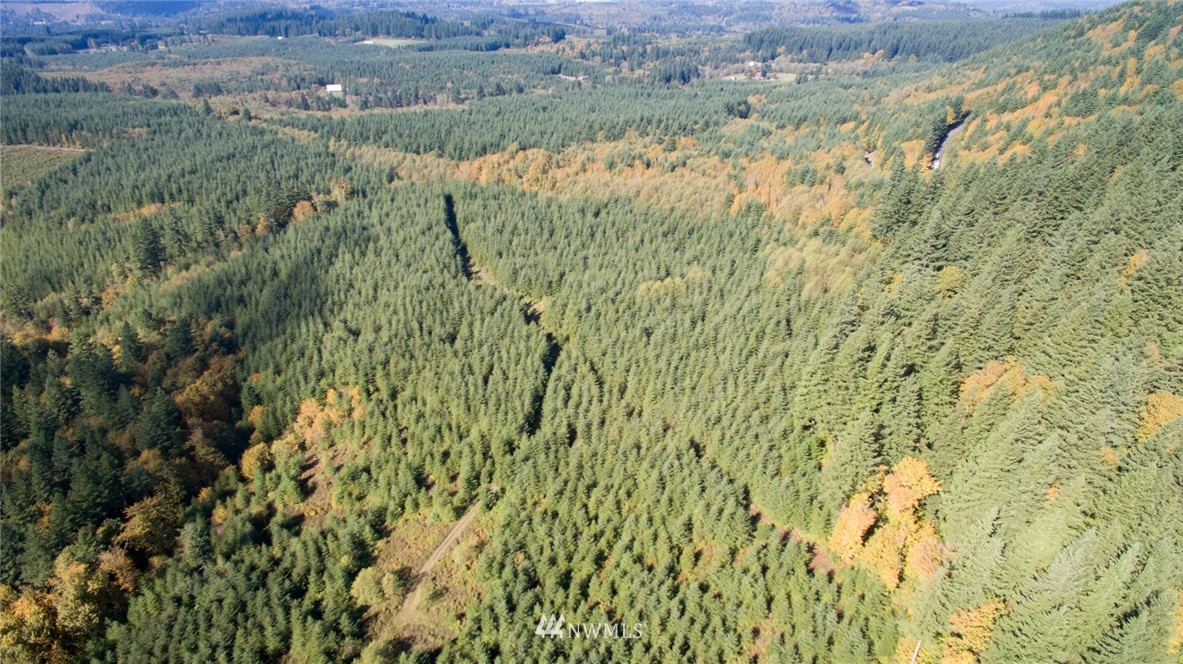 -ne Northeast Kelly Road Yacolt, WA 98675 - Photo 23 of 25 Gallery Image 23
