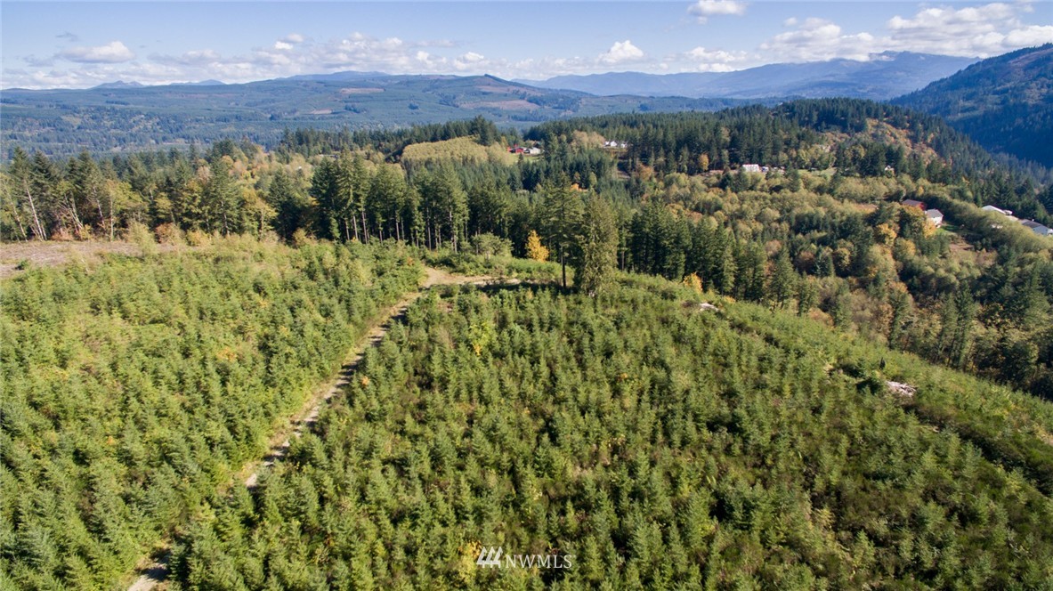 -ne Northeast Kelly Road Yacolt, WA 98675 - Photo 25 of 25 Gallery Image 25