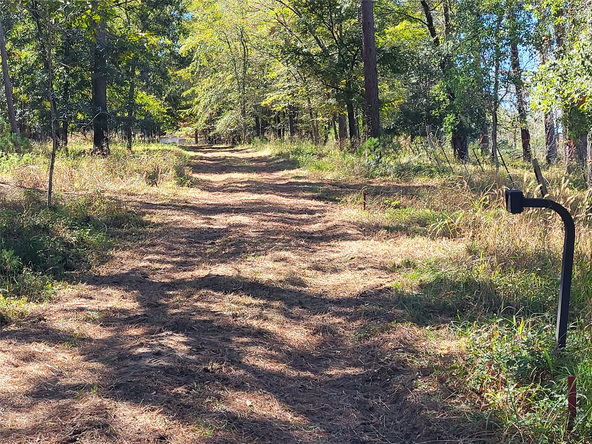 500 South Pine Lake Road Montgomery, TX 77316 - Photo 11 of 38 a view of dirt yard with a large tree