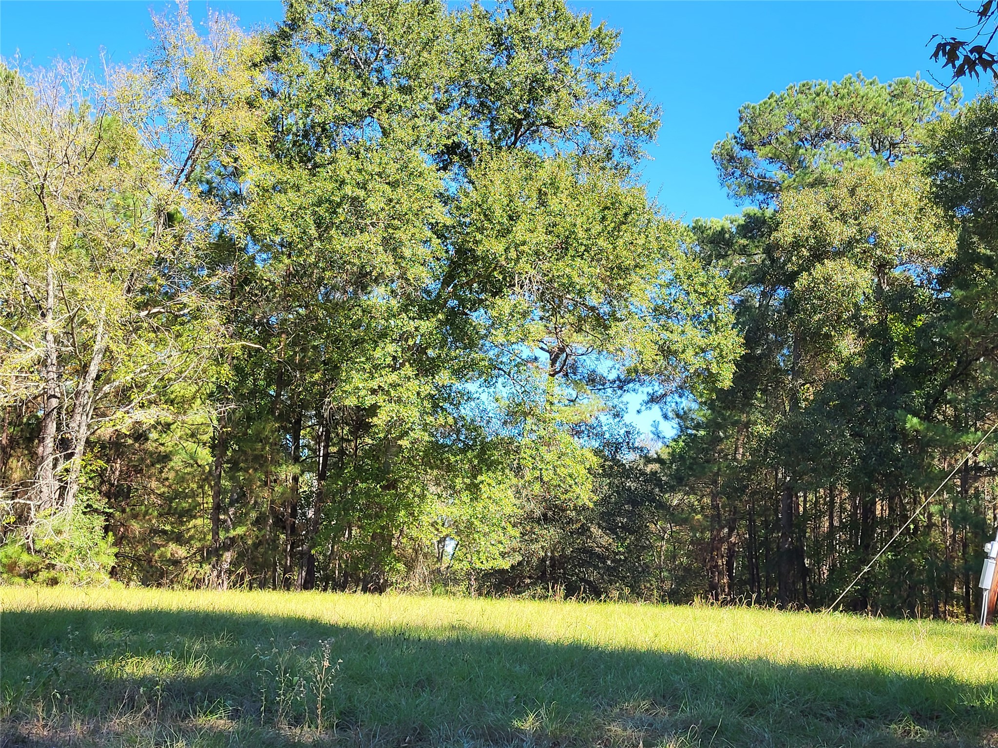 500 South Pine Lake Road Montgomery, TX 77316 - Photo 20 of 38 a view of yard with green space