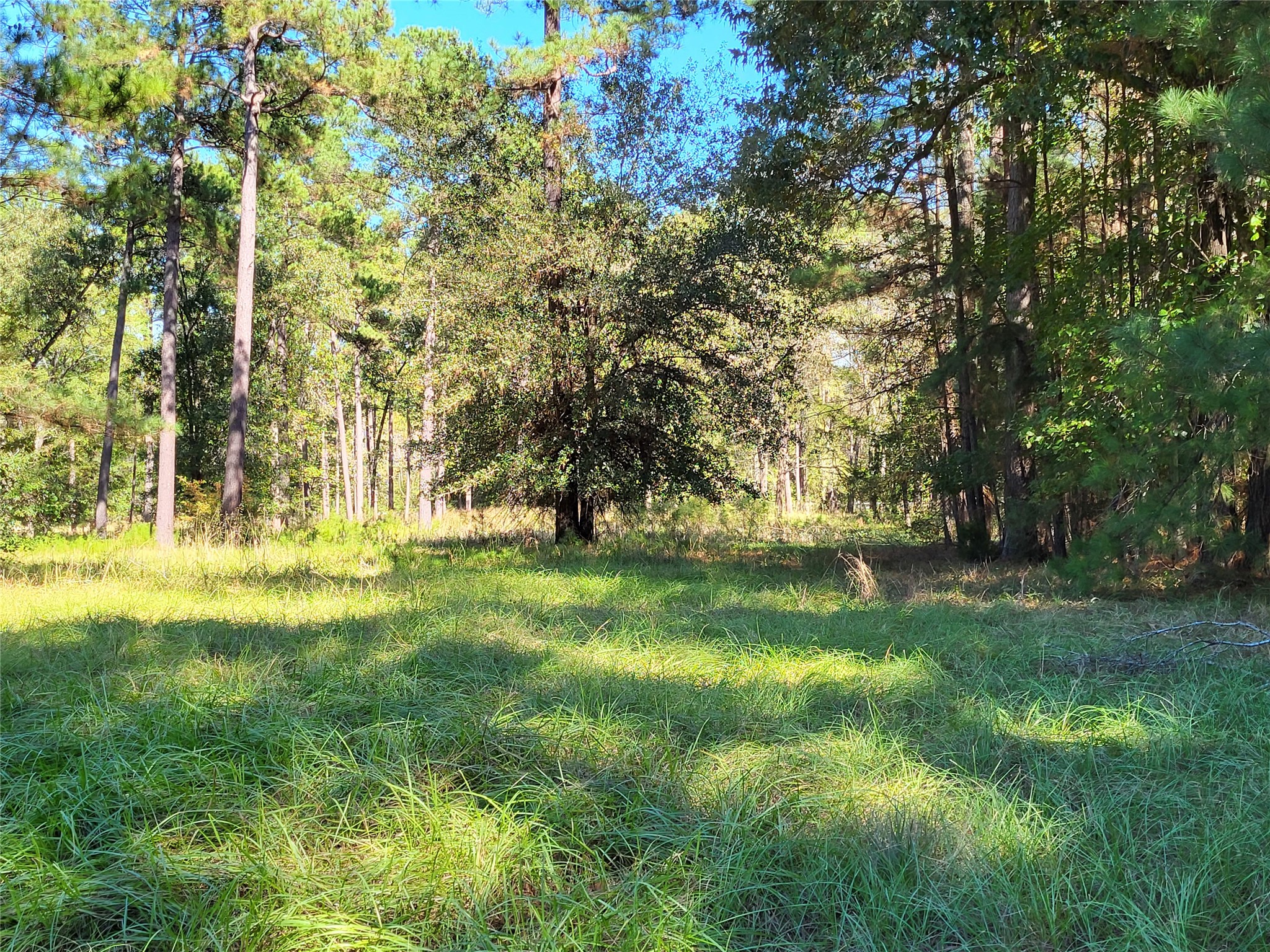 500 South Pine Lake Road Montgomery, TX 77316 - Photo 21 of 38