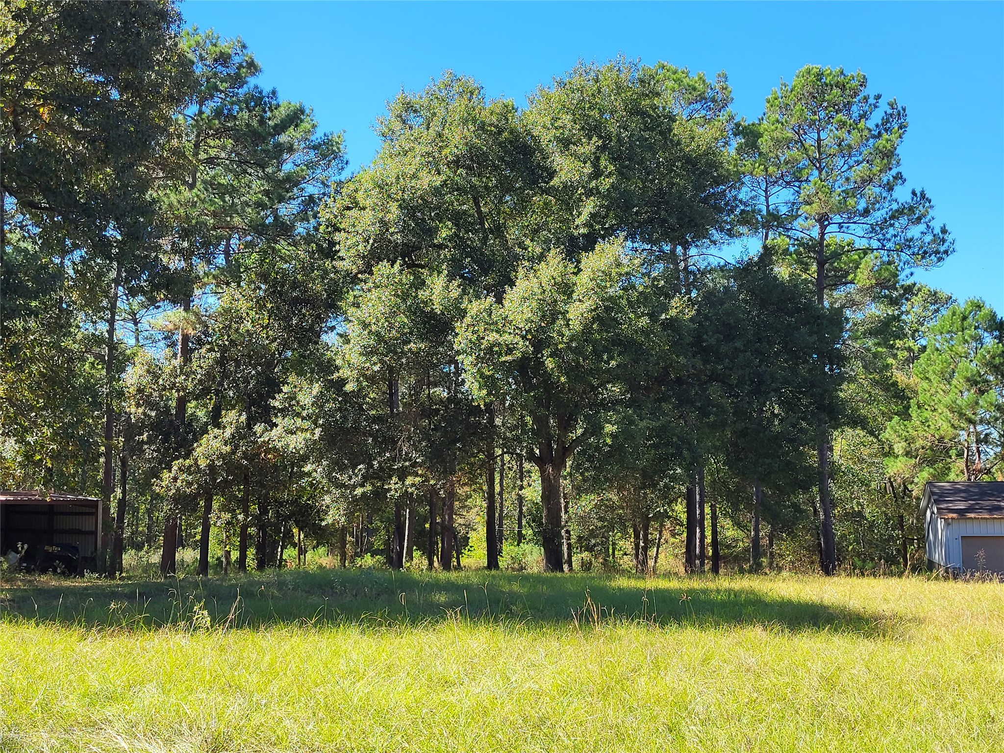 500 South Pine Lake Road Montgomery, TX 77316 - Photo 22 of 38 a view of a swimming pool and trees in the background