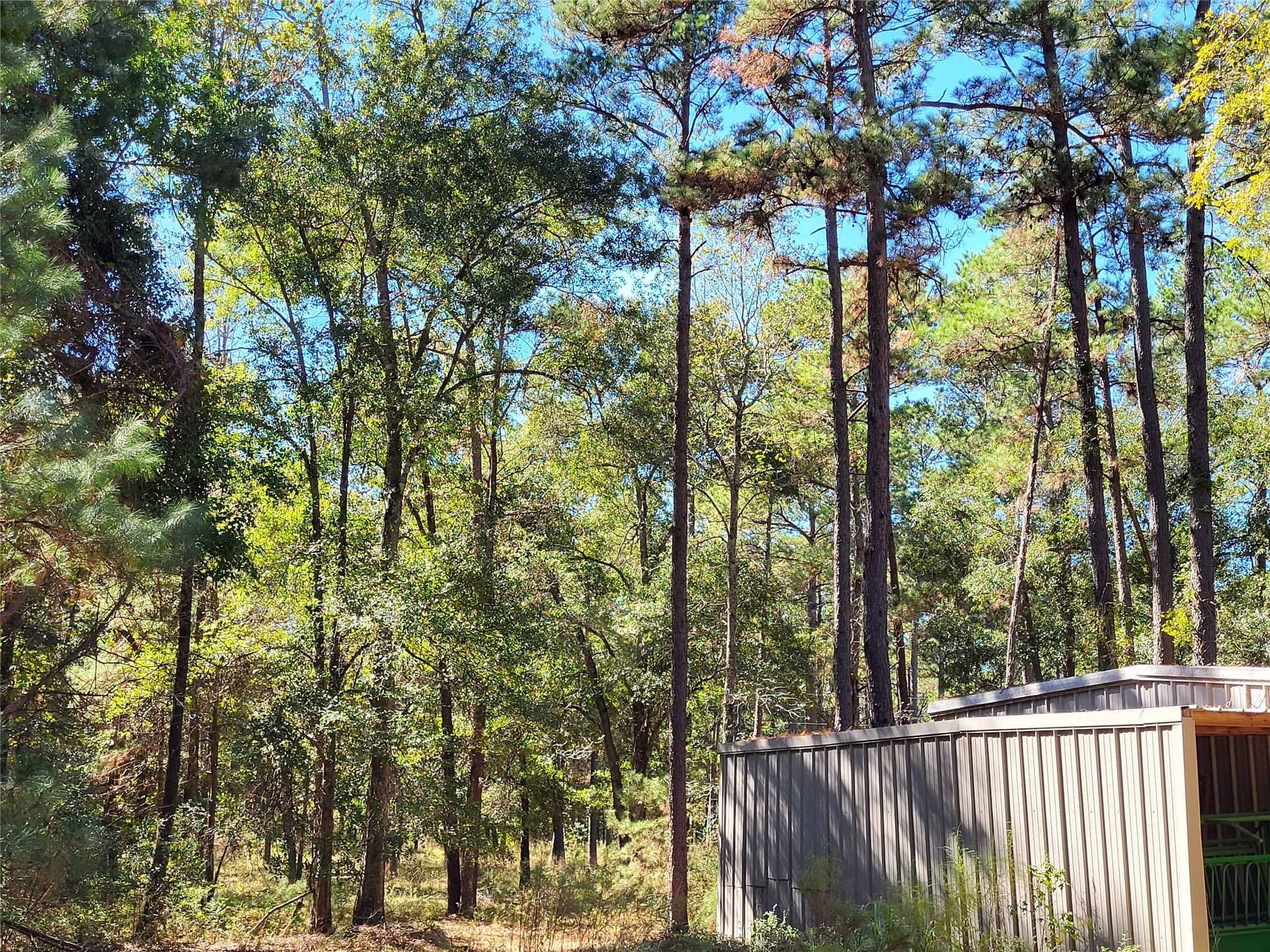500 South Pine Lake Road Montgomery, TX 77316 - Photo 23 of 38 a view of a forest from a tree