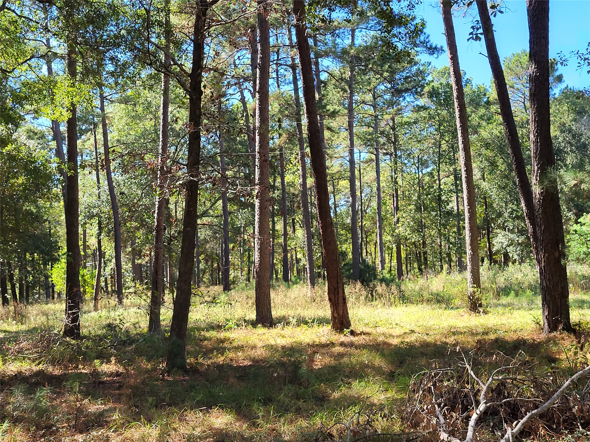 500 South Pine Lake Road Montgomery, TX 77316 - Photo 24 of 38